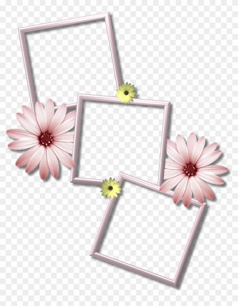 Frame Png Templates, Multiple Photo Frames, Png Collage, Edit Photo Frame, Collage Photo Frame Design, Wedding Photo Collage, Romantic Frame, Wedding Png, Cute Backgrounds For Iphone