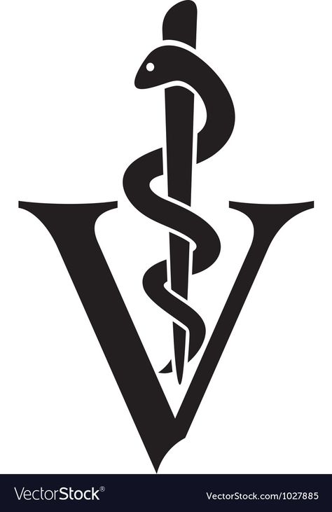 Veterinarian Tattoo, Vision Board Assignment, Veterinary Symbol, Caduceus Tattoo, Tech Tattoo, Med Vet, Palm Tree Silhouette, Medical Icon, Vet Med