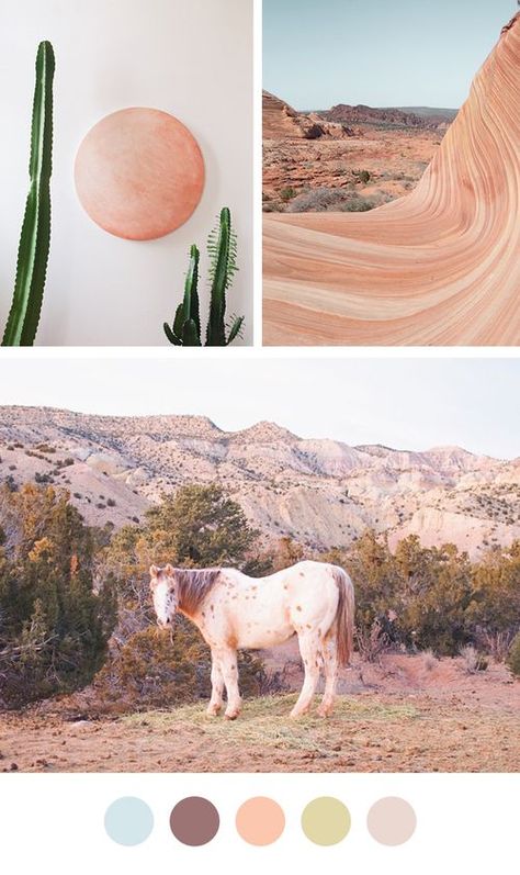 Pastel Earth Tones, Desert Tones, Desert Aesthetic, Desert Chic, Color Mood, Desert Decor, Desert Colors, Palette Inspiration, Desert Vibes