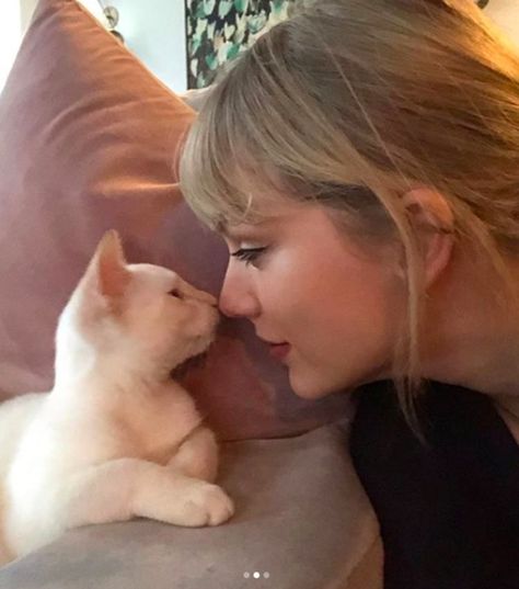 Taylor Swift Cat, Taylor Swift Fotos, Cat Call, Estilo Taylor Swift, Swift Photo, Taylor Swift Funny, Cat Icon, Red Taylor, Taylor Swift Songs