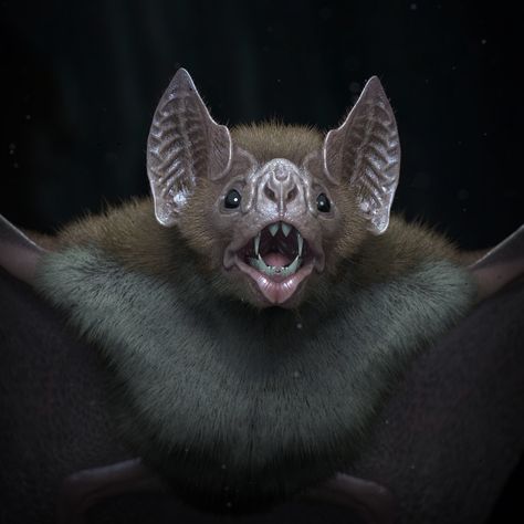 Vampire Bat, COLIN SHULVER on ArtStation at https://www.artstation.com/artwork/oAOxDL Facts About Bats, Bat Halloween Decorations, Bat Tattoos, Bat Drawing, Bat Eyes, Bat Photos, Scary Bat, Bat Animal, Bat Costume