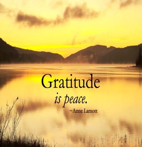 A Day of Peace and Gratitude | Going Beyond  "Gratitude is peace." ~Anne Lamont #gratitude #peace #innerpeace Anne Lamott, A Course In Miracles, Louise Hay, Attitude Of Gratitude, True Happiness, Gratitude Quotes, Grateful Heart, Gratitude Journal, A Quote