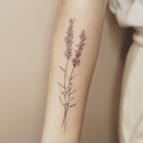 Wild Lavender Tattoo, Lavender Stalk Tattoo, Bouquet Of Lavender Tattoo, Fine Line Lupine Tattoo, Lavender Flowers Tattoo, Realistic Lavender Tattoo, Fineline Lavender Tattoo, Fine Line Tattoo With Shading, French Lavender Tattoo