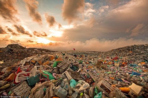 Miles of litter: Thilafushi is an artificial island in the Maldives where about 400 tonnes of rubbish is dumped every day تلوث المياه, Mind Blowing Images, Sustainability Projects, Artificial Island, Ocean Pollution, La Pollution, Environmental Pollution, Plastic Pollution, Environmental Issues