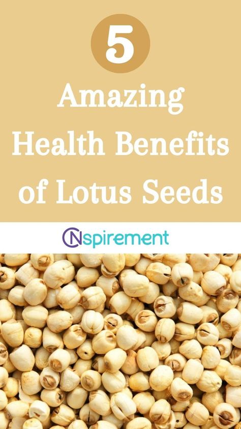 Are you looking for a one-of-a-kind health booster? Lotus seeds might just be what you need. Explore the fascinating health benefits of these seeds and their significance in traditional Chinese medicine. Seed Benefits, Seeds Benefits, Lotus Seeds, Lotus Seed, Healing Herbs, Traditional Chinese Medicine, Chinese Medicine, Traditional Chinese, Health Benefits