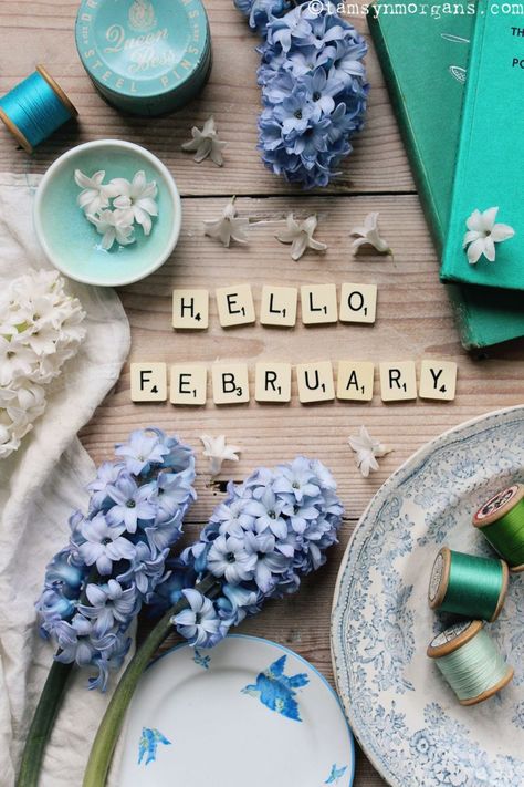 Hello February Aesthetic, Hello February Month, Hello February Wallpaper, February Hello, Hello February Quotes, Welcome February, February Quotes, Skiing Holiday, February Wallpaper