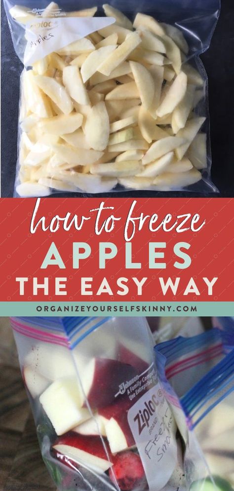 Apple Recipes Healthy Freezer, Can You Freeze Apple Butter, How To Save Apples, How To Save Fresh Apples, June Apple Recipe, How To Prepare Apples For Freezing, Can I Freeze Apples, Can You Freeze Sliced Apples, Different Ways To Freeze Apples