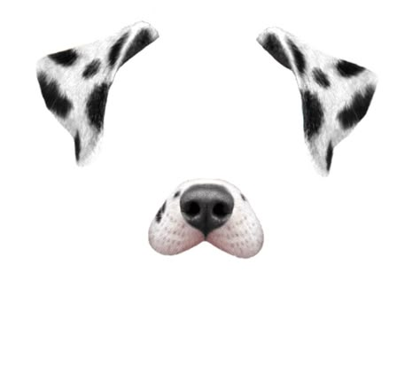 Dalmatian filter transparent overlay Face Filter Png, Dog Filter Snapchat, Face Overlay Cute, Kawaii Overlay, Filter Overlay, Cute Overlays, Snapchat Dog Filter, Face Overlay, Cat Brain