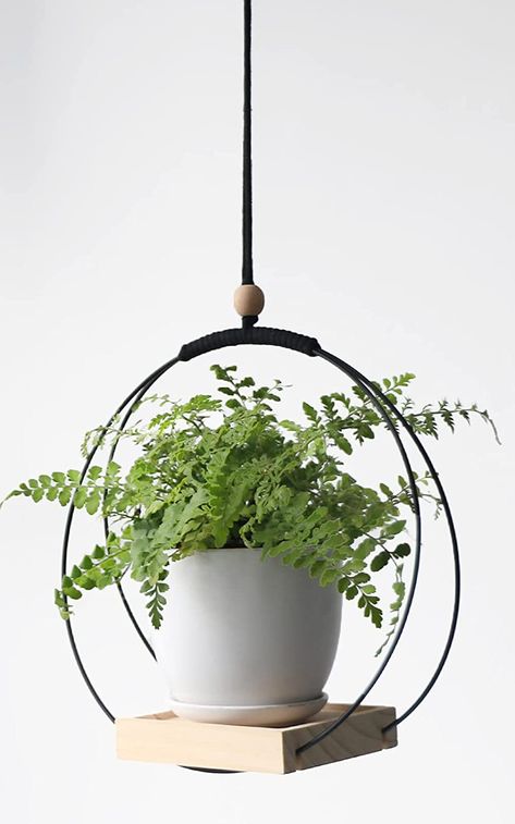 Window Sill Plants, Modern Macrame Plant Hanger, Hanging Planters Outdoor, Succulent Hanging Planter, Kitchen Window Decor, Planter Plants, Metal Plant Hangers, Ceiling Window, Metal Hanging Planters