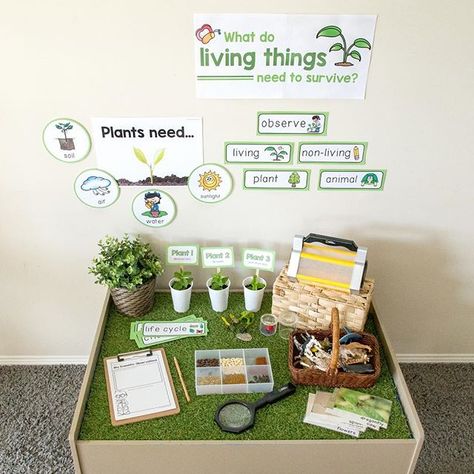 Living And Non Living Things Activity For Kindergarten, Train Table Hack, Foundation Classroom, Continuous Provision Year 1, Investigation Station, Science Center Preschool, Walker Learning, Year 1 Classroom, Pre-k Science