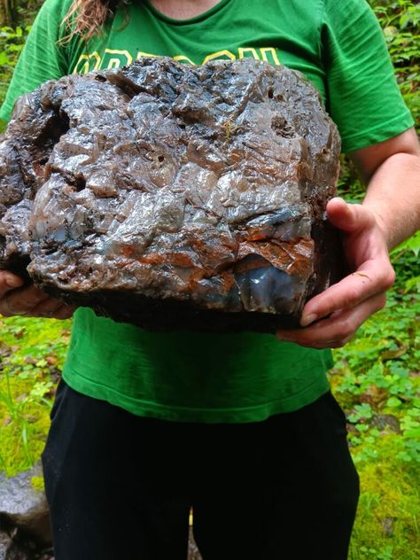 Man Discovers a Massive 60lb Agate on the Oregon Coast Raw Agate Rocks, Rockhounding Oregon, Silver Falls Oregon, Gem Hunting, Rock Science, Gem Hunt, Rock Identification, Heart Shaped Rocks, Diy Garden Bed