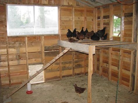 chicken roosting | Sweetchicks's Chicken Coop - BackYard Chickens Community Build A Chicken Coop, Chicken Roost, Easy Chicken Coop, Chicken Barn, Portable Chicken Coop, Backyard Chicken Coop Plans, Chicken Pen, Diy Chicken Coop Plans, Coop Design