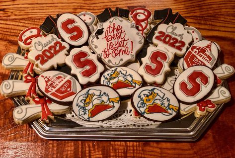 Stevens Institute Of Technology, Graduation Cookies, Life Vision, Life Vision Board, Life Board, Vision Board, Sugar Cookie, Technology, Bed