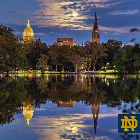 Notre Dame University Notre Dame Gifts, Notre Dame Wallpaper, Notre Dame Campus, Noter Dame, Notre Dame College, University Abroad, Go Irish, University Of Notre Dame, Going To University