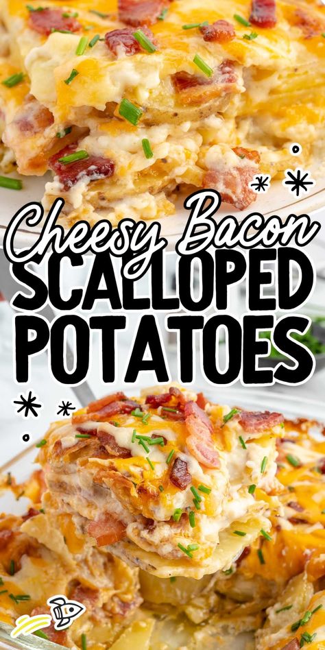 Recipes With Bacon Dinner, Scallop Recipes Bacon, Bacon Scalloped Potatoes, Loaded Scalloped Potatoes, Scalloped Potatoes With Bacon, Baked Scalloped Potatoes, Bacon Cheese Potatoes, Cheese Scalloped Potatoes, Bacon Scallops