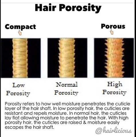 How your hair responds to moisture Hair Anatomy, Low Porosity Hair Care, Loc Method, Hair Science, Porous Hair, High Porosity Hair, Low Porosity Hair Products, Hair Care Regimen, Natural Hair Care Tips