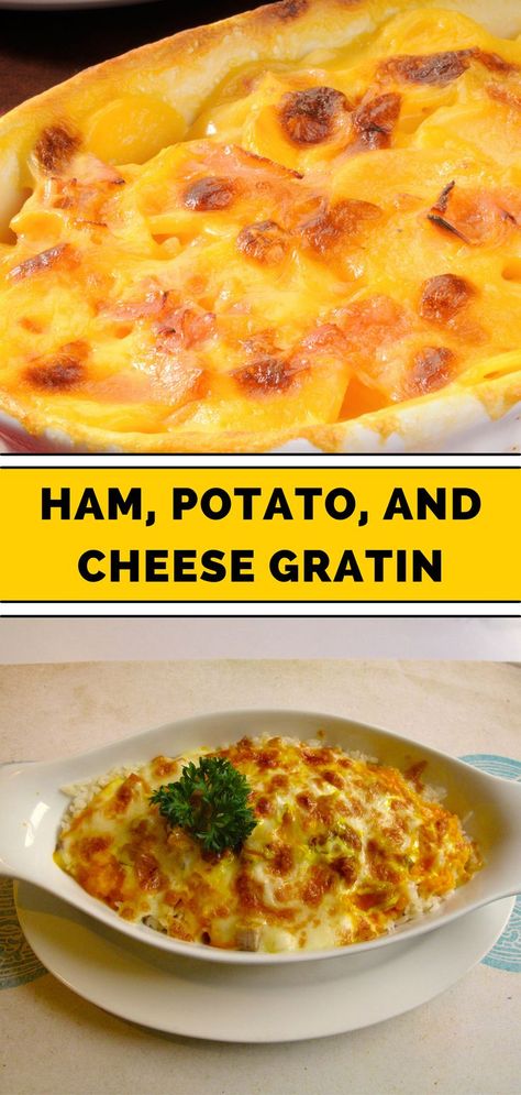 Recipes Using Ham Steak, Cooking Ham Steak, Ham Slices Recipes, Ham Steak Dinner, Baked Ham Steak, Recipes Using Ham, Cheese Gratin, Ham Steak Recipes, Ham Slices