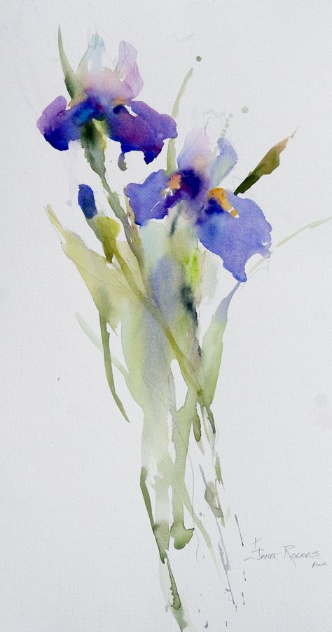 Janet Rogers irises Iris Painting, Watercolor Pictures, Watercolour Inspiration, Cute Watercolor, Loose Watercolor, Art Aquarelle, Watercolor Flower Art, Watercolor Logo, Hur Man Målar