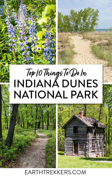 Things To Do In Indiana, Day Trips From Chicago, Indiana Vacation, Indiana Dunes State Park, Indiana Dunes National Park, Indiana Travel, Sand Dunes National Park, Indiana Dunes, Midwest Travel