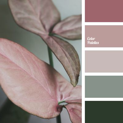 Cool Palettes | Page 6 of 100 | Color Palette Ideas Iu Anime, Yarn Combinations, In Color Balance, Yarn Color Combinations, Color Palette Ideas, Color Schemes Colour Palettes, Pink Palette, Palette Ideas, Color Palette Pink