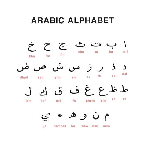 Ensemble D'alphabet De Lettres Arabes En... | Premium Vector #Freepik #vector #alphabet-arabe #alphabet-design #alphabet #lettre Vector Alphabet, Alphabet Arabe, Design Alphabet, Arabic Alphabet Letters, Interesting Facts In Hindi, Zara Drip, Arabic Alphabet For Kids, Arabic Alphabet, L Alphabet