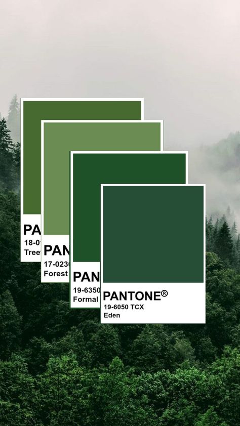 #forestaesthetic #forestgreen #green #pantone Forest Green Pantone, Green Pantone, Green Board, Dark Forest Aesthetic, Kelp Forest, Forest Aesthetic, Alpine Green, Interior Design Drawings, Green Wall Decor