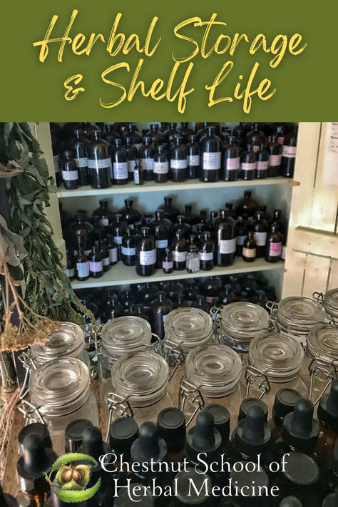 Whether you grow your own herbs or purchase them from a bulk supplier, storing dried herbs properly will ensure they enjoy a long life filled with potency and freshness. #apothecary #herbalist #herbalmedicine #herbalism #shelflife #storage #pantrystorage #vinegar #homesteading Bulk Herb Storage Ideas, Dried Herb Storage, Apothecary Closet Ideas, Home Apothecary Storage, Herbalist Shop Design, Tincture Storage, Home Apothecary Ideas, Portable Apothecary, Herb Storage Ideas