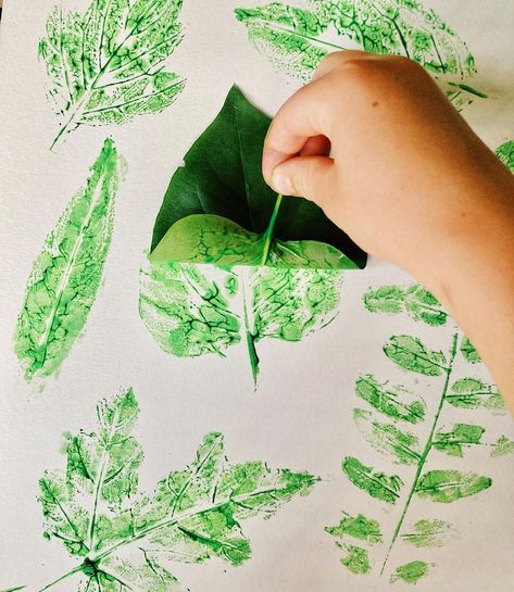 Natalie on Instagram: “Leaf stamping 🌿 . Here’s a simple, fun way to play with leaf shapes ~ gather leaves from the trees in your yard, cover the undersides with…” Leaf Stamping, Trees For Kids, Summer Tree, Backyard Trees, Tree Study, Children Sketch, Summer Trees, Nature Sketch, Exploring Nature