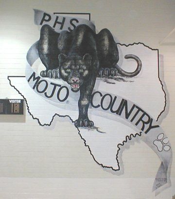 Permian High School - Go MOJO! Permian High School, Panther Logo, Texas Forever, Texas Girl, 2023 Vision, Lone Star State, Friday Night Lights, Silhouette Projects, Lone Star