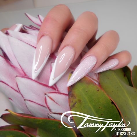 Tammy Taylor Nails || Call 0118232483 to Book an appointment or Download the Tammy Taylor SA App. Cruelty Free and used in over 100 thousand Salons World Wide. Visit us at Shop 2, The Mall Square, Bental Road, Boksburg. #tammytaylornails #tammytaylorboksburg  #johannesburg #boksburg #nails #nailinspo #ttngirl #colorinspo #nailstyle #nailfashion #nailstyle #nailstoinspire #nailshape #crueltyfreebeauty #acrylicnails #manimonday #stilettonails #sculpturednails #pinknails #protea Taylor Nails, Beauty Nail Salon, Tammy Taylor Nails, Tammy Taylor, Nail Quotes, Sculptured Nails, Home Nail Salon, Nail Design Video, Nail Salon Design