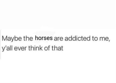 Equestrian Captions, Equestrian Instagram, Funny Horse Memes, Horse Memes, Jesus Reigns, Equestrian Quotes, Cowgirl Quotes, Horse Exercises, Pony Tails