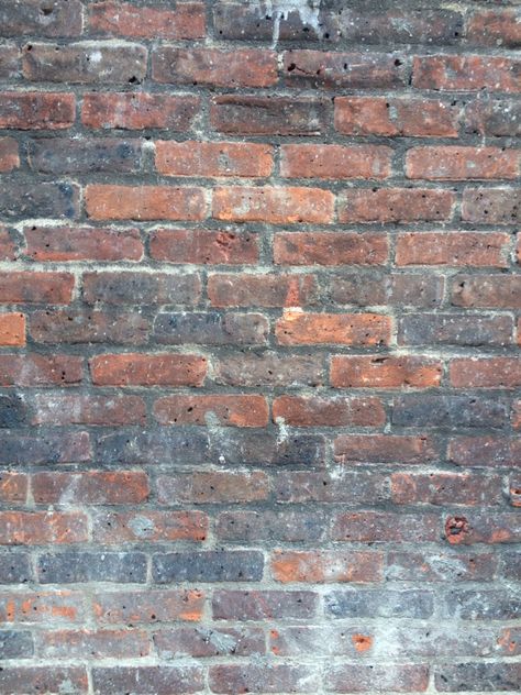 Beautiful brick wall outside my hotel in London  Jan 2015 Brick Wall Outside, Square Prism, Wall Outside, Bricks Wall, Lichen Moss, Hotel In London, Brick Wall, Art Class, In London