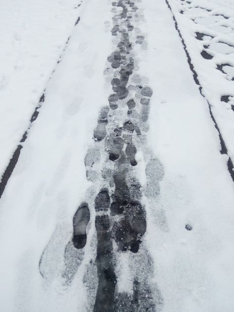 The Fear Natasha Preston, Snow Footprints, Angel By The Wings, Picnic Pavilion, Running In The Snow, Running In Snow, Footprints In The Snow, Notes From Underground, Snow Crafts