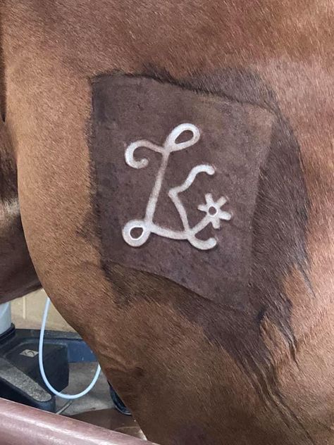 Horse brand Horse Branding Ideas, Freeze Branding Horses, Horse Brands Ideas, Western Branding, Farm Branding, Livestock Branding, Cattle Brands, Horse Brand, Moon Logo