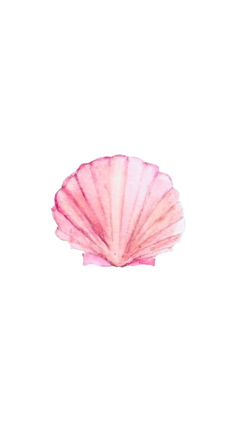 Pink Shell Wallpaper, Aesthetic Pictures For Wall Collage Pink, Bow Wallpaper Iphone, Wallpapers Rosa, Beachy Prints, Beachy Wallpaper, Pink Shells, Pink Starfish, Pink Seashell