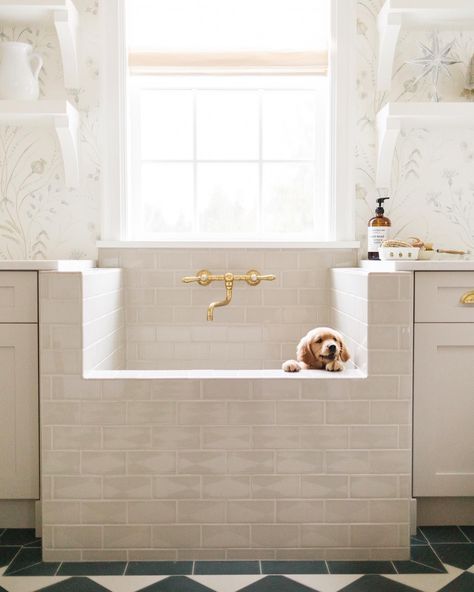 Groom Room, Mudroom Addition, Dog Washing Station, Dog Hotel, Living Etc, Bath Tiles, Dog Wash, Small Laundry Room, Dog Rooms