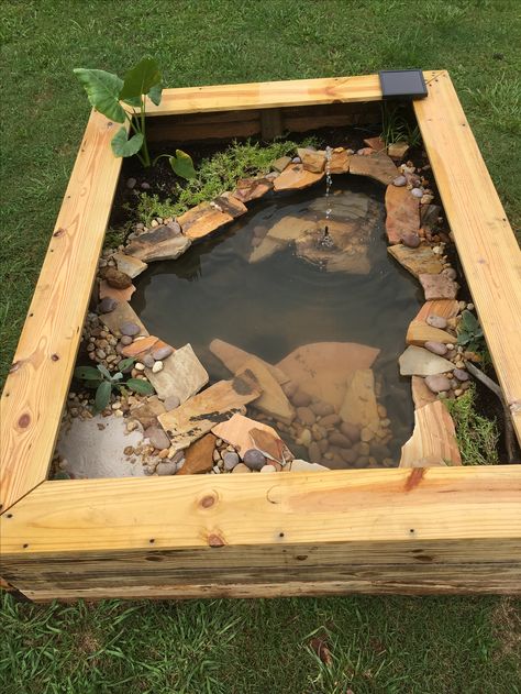 Our new DIY above ground pond for Bella the turtle! Tartaruga Habitat, Above Ground Pond, Turtle Enclosure, Animal Enclosures, Turtle Homes, Turtle Habitat, Outdoor Ponds, Turtle Pond, Diy Pond