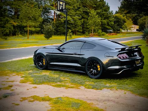 Mustang Gt 2015, Mustang Build, Sports Cars Mustang, 2015 Mustang Gt, Ford Mustang Wallpaper, Mustang Gt350, Mustang Wheels, Mustang Wallpaper, S550 Mustang