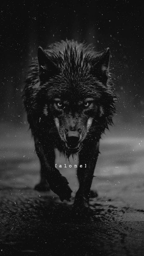 Alone Wolf iPhone Wallpaper 4K - iPhone Wallpapers Wolf Mentality, Lup Singuratic, Lone Wolf Quotes, White Wolves, Angry Wolf, Viking Quotes, Shadow Wolf, Owl Drawing, Wolf Warriors