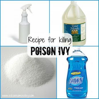 How to Kill Poison Ivy  Combine 1 gallon white vinegar with 1 cup salt and 2 TBSP blue dawn dish soap.    * Once all the ingredients have been mixed well pour mixture into a spray bottle.    * Spray poison ivy.  Be careful not to get it on your other plants because this mixture will kill anything you spray. Going to try this! It's everywhere:( Poison Ivy Killer, Kill Poison Ivy, Blue Dawn, Poison Oak, Bottle Spray, Ivy Plants, Dawn Dish Soap, White Vinegar, Poison Ivy