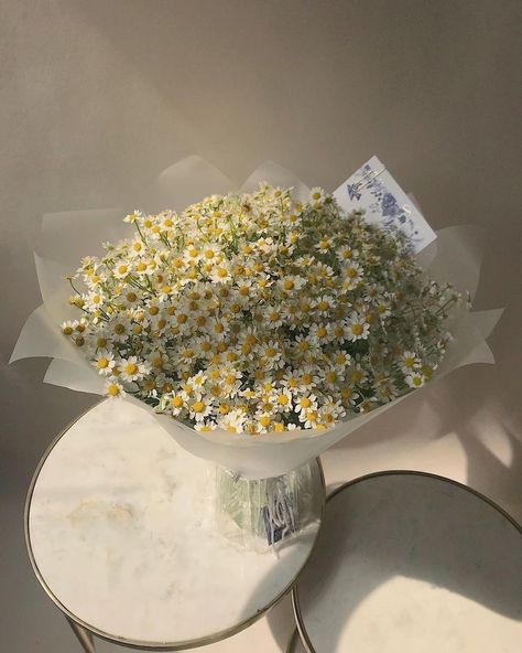 Gloss Dior, Daisy Bouquet, Boquette Flowers, Nothing But Flowers, Flowers Bouquet Gift, Flower Therapy, Beautiful Bouquet Of Flowers, Beautiful Flower Arrangements, Chamomile Flowers