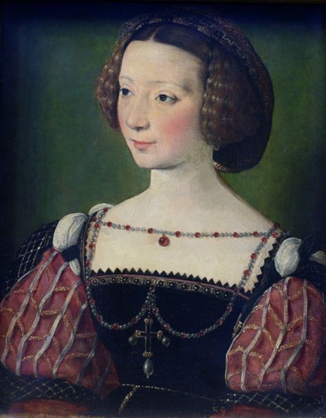 16th Century Portraits, Historical Portraits, 16th Century Fashion, Tudor Era, Old Portraits, Lady In Waiting, Historical Costume, Historical Clothing, Historical Fashion