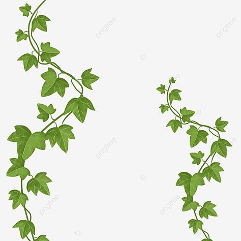 Plant Border Design, Ivy Clipart, Bright Forest, Border Transparent, Plant Clipart, Leaf Png, Plant Png, Textile Painting, Corner Decoration