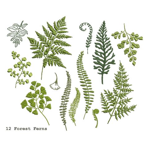 12 Fern Branches for Machine Embroidery Design Botanical Wedding Branch Pattern Instant Download Zip 6 Sizes - Etsy Irish Embroidery Designs, Leo Clothes, Hare Images, Embroidery Plants, Fern Embroidery, Woodland Embroidery, Embroidery Machine Designs, Wedding Branches, Botanical Embroidery