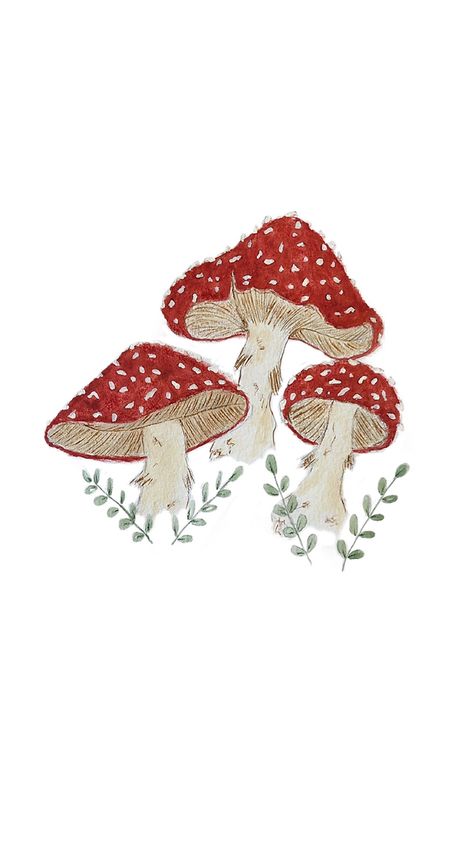 Red mushrooms By @foxinthepaint 🍄🍃 Mushroom Drawing Wallpaper, Cute Drawings Mushroom, Mushroom Drawing Aesthetic, Mushroom Art Cute, Wallpaper Mushroom, Mushroom Background, Red Mushrooms, Mushroom Paint, Mushroom Wallpaper