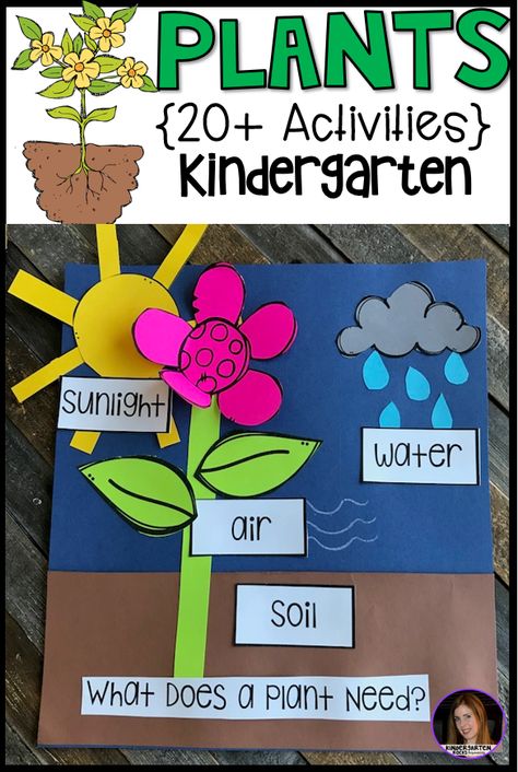 Are you looking for a fun, hands-on and engaging plant unit that incorporates writing, literacy skills and science? Plants is perfect for your spring themes. This unit is based around essential questions with vocabulary cards with real pictures, anchor charts to reinforce concepts, labels for sorting, observations, science experiments and fun hands on craftivities that students will love! I have even included a sample lesson plan to demonstrate how to implement the activities. You will find ... Plants Preschool, Plant Cycle, Science Kindergarten, Plants Kindergarten, Aktiviti Tadika, Plant Lessons, Spring Science, Plant Parts, Planting For Kids