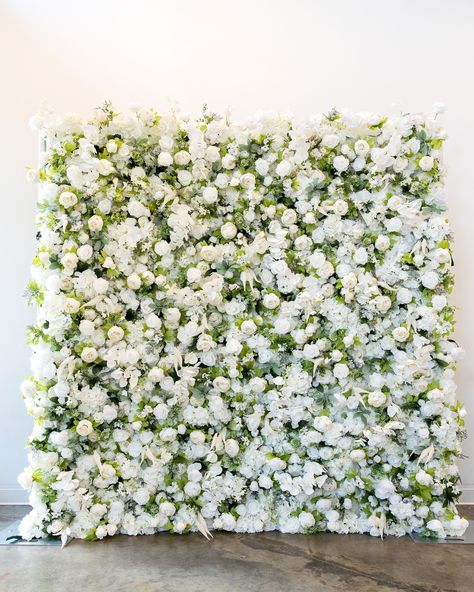 The Ophelia flower wall is perfectly elegant with white peonies, roses, and a cascading of orchids. (8x8, delivery and set up included!) DM me for information to rent or check out www.everlastingarchdesigns.com . . . . . #flowerwall #flowerwalls #vancouverwashingtonweddings #vancouverwashington #pdxwedding #pdxweddings #bridalshower #bridalshowerdecor Green Flower Wall, Bridal Party Decor, Flower Wall Wedding, Flower Wall Backdrop, Planting Hydrangeas, Champagne Wedding, Wall Backdrops, White Peonies, Stage Decorations