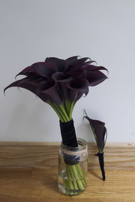 Black Calla lily bouquet Dark Calla Lily, Bouquet Meaning, Calla Lilies Bouquet, Lilies Bouquet, Black Calla Lily, Goth Garden, Calla Lily Bouquet, Gothic Garden, Women Vest