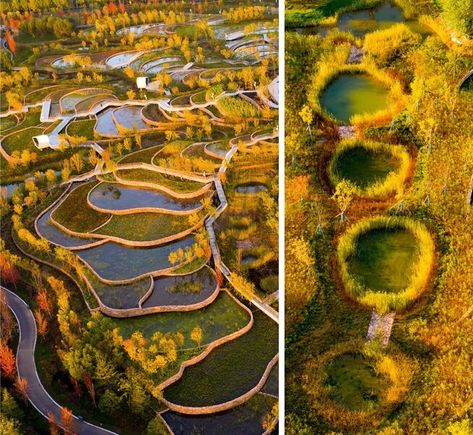 The environmental project The Handan Wastewater Cleansing Terraces is intended to transform a former landfill into a natural landscape with wetlands. A specially configured cascade system cleanses urban wastewater. An inhospitable wasteland will in this way become a park-like landscape, which is in addition accessible for teaching purposes. Turenscape was awarded Best of Best in the ICONIC AWARDS: Innovative Architecture. Urban Forest Design, Terraced Landscaping, Industrial Garden, Lampang, Retail Architecture, Wetland Park, Stadium Design, Urban Forest, Water Treatment Plant