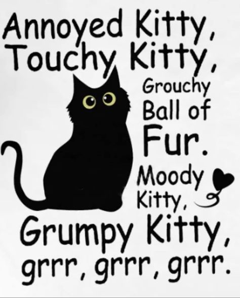 Grumpy Kitty, Grumpy Cat Quotes, Cat Language, Cat Quotes Funny, Black Cat Art, Cartoon Quotes, Cat Quotes, Cat Person, Men's Tank